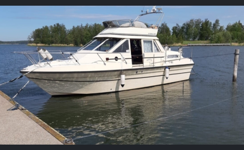 Sterna 900 fb-kuva-1